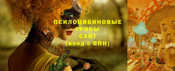 эйфоретик Балахна