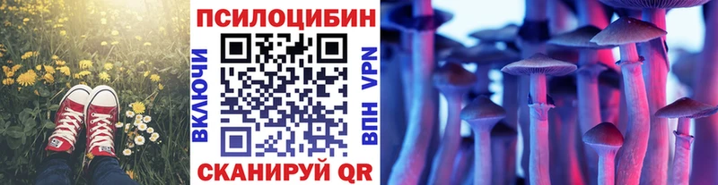 хочу Лесосибирск Галлюциногенные грибы мицелий
