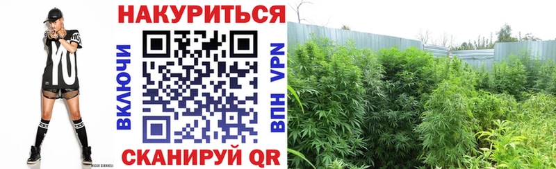 omg зеркало  Лесосибирск  Каннабис VHQ 